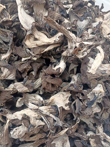 Фото Грибы лисички черные сушеные