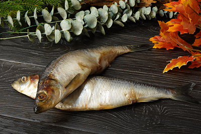 Превью Сельдь тихоокеанская жирная свежемороженая крупная